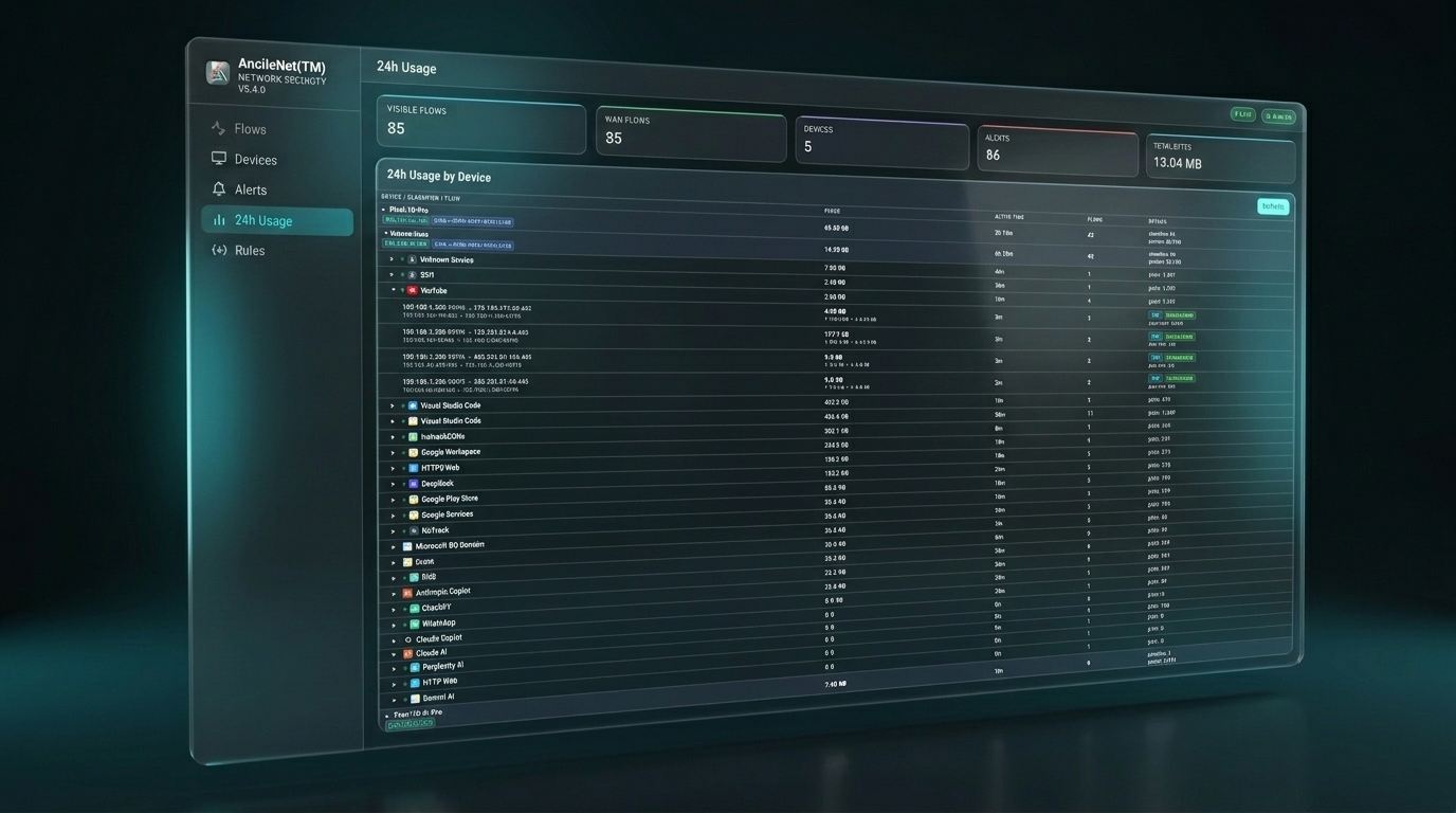 AncileNet 24h Usage Dashboard